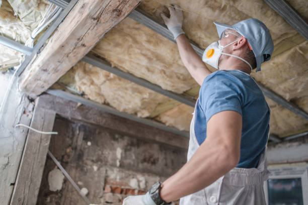 Types of Insulation We Offer in Ballplay, AL