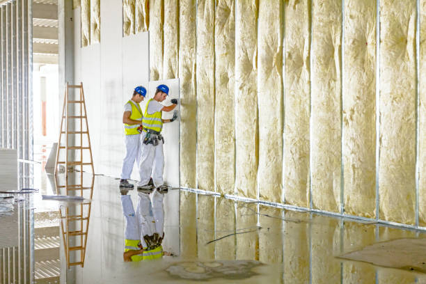 Best Energy Efficiency Insulation in Blplay, AL